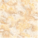 大將軍自然天成創“瓷”尚之美
(圖6) 大將軍自然天成創“瓷”尚之美
(圖6)