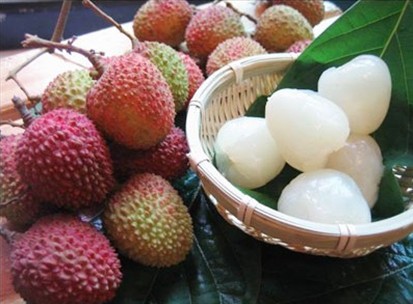 夢幻海洋 浪漫之旅---大將軍陶瓷精英啟程飛往心中的幸福
(圖6) 夢幻海洋 浪漫之旅---大將軍陶瓷精英啟程飛往心中的幸福
(圖6)