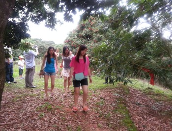 夢幻海洋 浪漫之旅---大將軍陶瓷精英啟程飛往心中的幸福
(圖2) 夢幻海洋 浪漫之旅---大將軍陶瓷精英啟程飛往心中的幸福
(圖2)