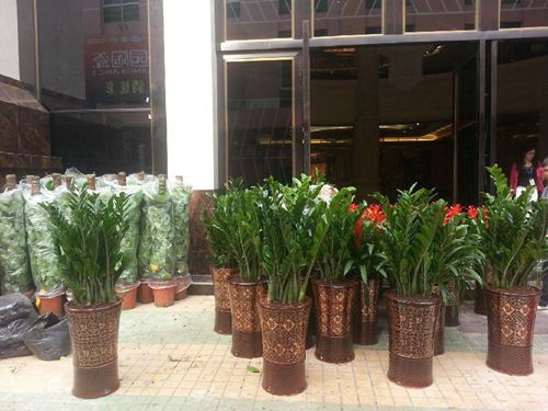 大將軍奢尚殿閃耀陶博 印證強勢品牌魅力
(圖9) 大將軍奢尚殿閃耀陶博 印證強勢品牌魅力
(圖9)